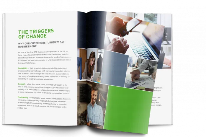 sap business one ebook